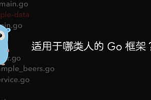 适用于哪类人的 Go 框架?