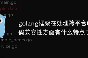 golang框架在处理跨平台的代码兼容性方面有什么特点?