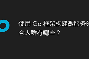 使用 Go 框架构建微服务的适合人群有哪些?