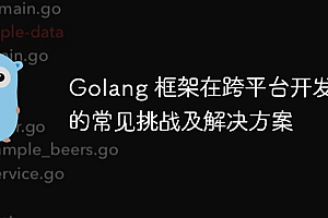 Golang 框架在跨平台开发中的常见挑战及解决方案