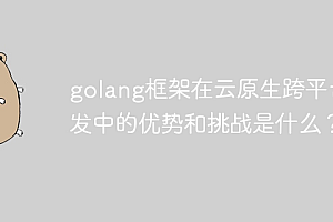 golang框架在云原生跨平台开发中的优势和挑战是什么?
