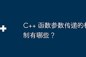 C++ 函数参数传递的机制有哪些?