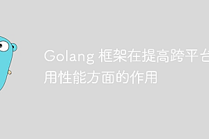 Golang 框架在提高跨平台应用性能方面的作用