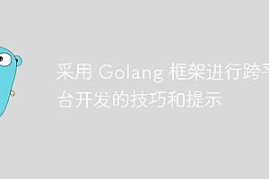采用 Golang 框架进行跨平台开发的技巧和提示