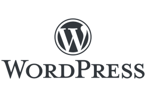 如何在本地启用 worpress 网站的多站点?