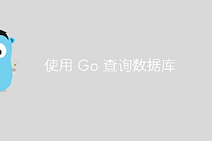 使用 Go 查询数据库