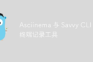 Asciinema 与 Savvy CLI:终端记录工具