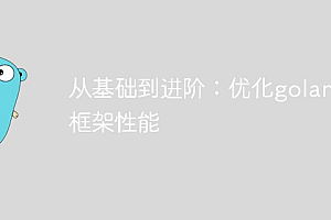 从基础到进阶:优化golang框架性能