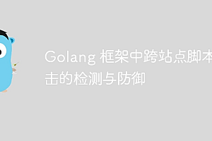 Golang 框架中跨站点脚本攻击的检测与防御