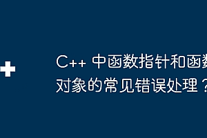 C++ 中函数指针和函数对象的常见错误处理?