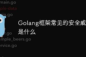 Golang框架常见的安全威胁是什么