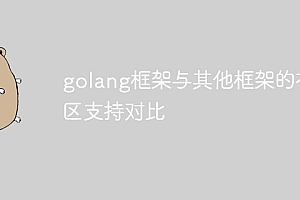 golang框架与其他框架的社区支持对比
