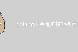 golang框架维护技巧与建议