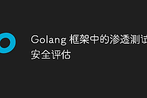 Golang 框架中的渗透测试与安全评估