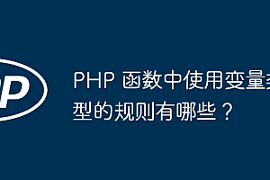 PHP 函数中使用变量类型的规则有哪些?