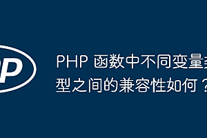 PHP 函数中不同变量类型之间的兼容性如何?