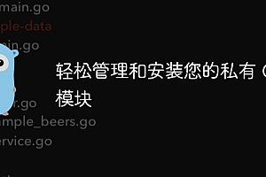 轻松管理和安装您的私有 Go 模块