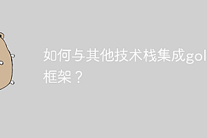 如何与其他技术栈集成golang框架?