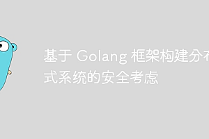 基于 Golang 框架构建分布式系统的安全考虑