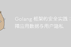 Golang 框架的安全实践:保障应用数据与用户隐私
