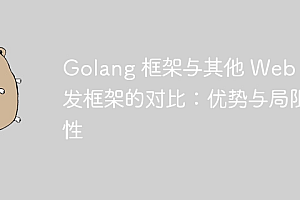Golang 框架与其他 Web 开发框架的对比:优势与局限性