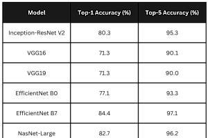 ResNet、EfficientNet、VGG、NN
