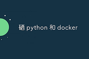 硒 python 和 docker
