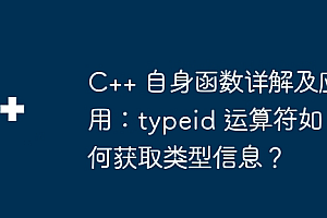 C++ 自身函数详解及应用:typeid 运算符如何获取类型信息?