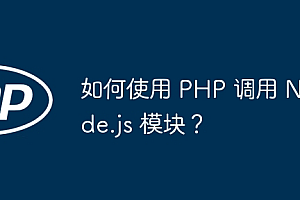 如何使用 PHP 调用 Node.js 模块?