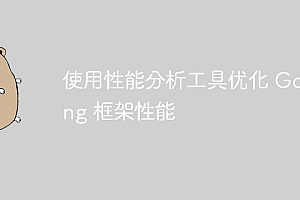使用性能分析工具优化 Golang 框架性能