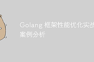 Golang 框架性能优化实战:案例分析