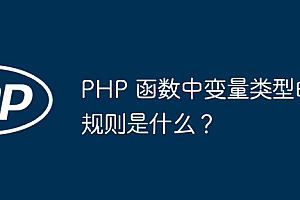 PHP 函数中变量类型的规则是什么?