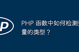 PHP 函数中如何检测变量的类型?