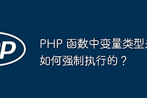 PHP 函数中变量类型是如何强制执行的?