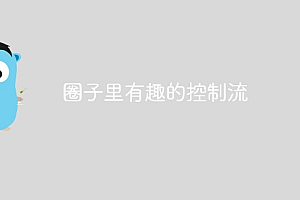 圈子里有趣的控制流