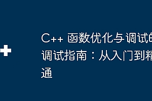 C++ 函数优化与调试的调试指南:从入门到精通