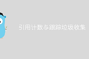 引用计数与跟踪垃圾收集