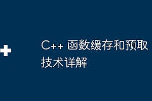 C++ 函数缓存和预取技术详解