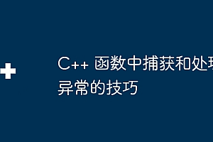 C++ 函数中捕获和处理异常的技巧