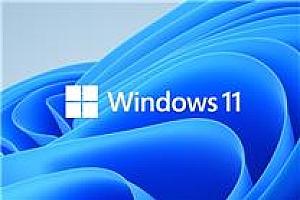 Win11站起来了!首次超越Win10成Steam用户使用最多系统