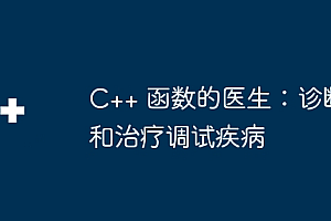 C++ 函数的医生:诊断和治疗调试疾病