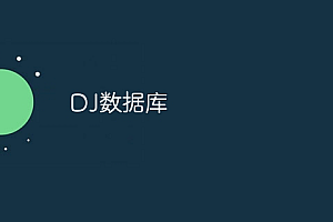 DJ数据库
