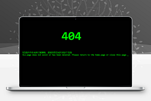 代码输入404页面html源码分享
