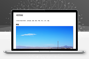 PICSEAL – 小米相机风格水印照片