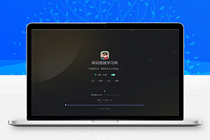 个人主页黑白切换,夜晚有流星划过特效