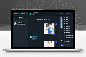 ChatNet v1.11-V1.9 汉化版源码分享及详细搭建教程,自建聊天室和私人聊天程序!