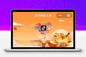 4.0修复版去水印小程序源码