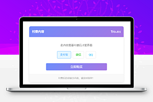 Typecho付费阅读插件XBinPay