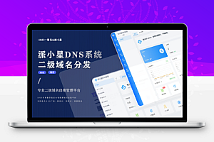 2025派小星DNS二级域名分发公测免费版
